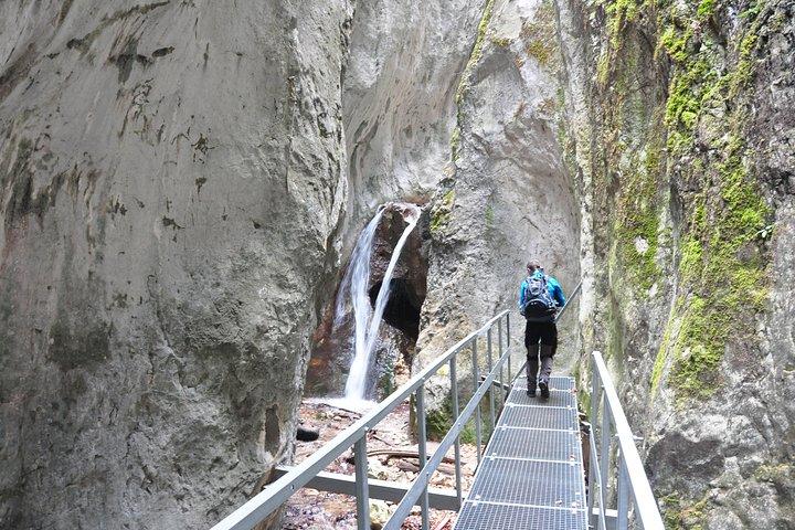 Small-Group Day Trip to the Epic 7 Ladders Canyon from Brasov