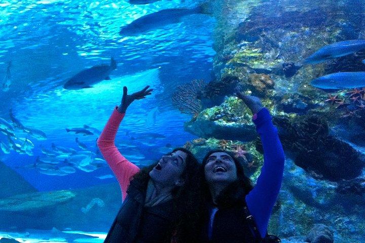 Antalya: Aquarium Ticket With Optional Transfer