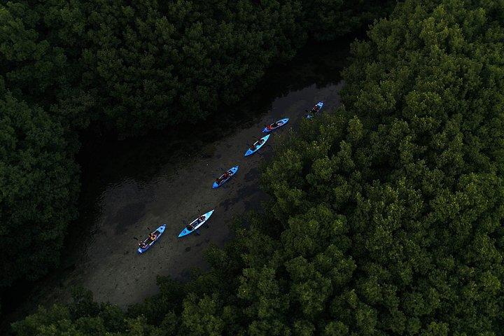 Bioluminescent Bay Kayak Adventure Tour da San Juan