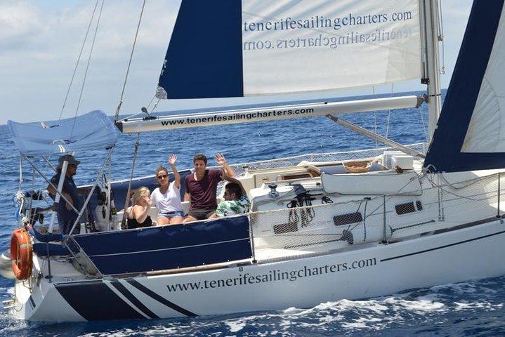 Private Yachttour mit Wal- und Delfinbeobachtung 33 Fuß Boot