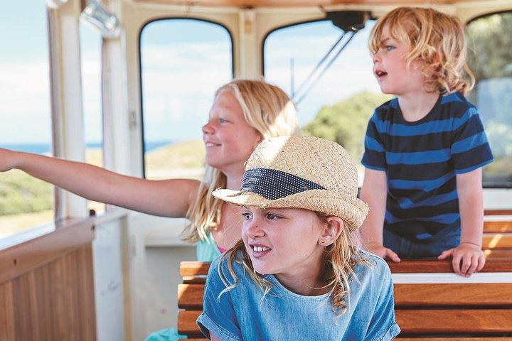 Heldagstur till Rottnest Island med ö från Hillarys