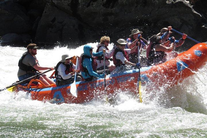 Riggins Idaho 1-daagse Raftingtrip op de zalmrivier