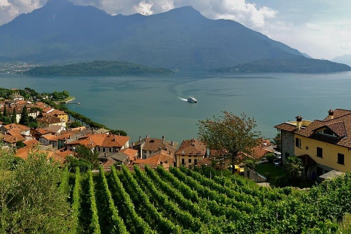 Domaso: Wine Tasting at the Winery on Como Lake