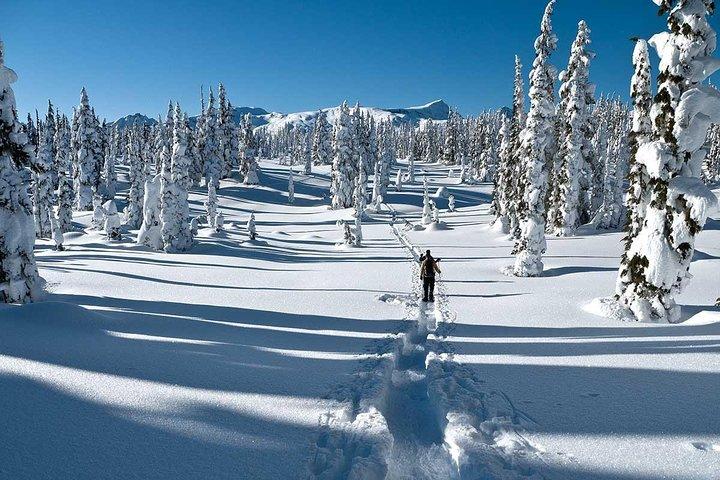 Schneeschuh durch Vancouver Winter Wonderland