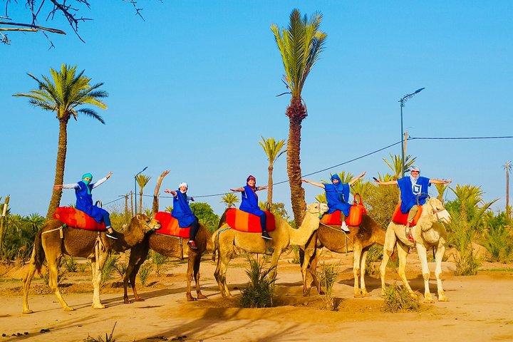 Dinner show and Sunset Camel riding Agafay desert