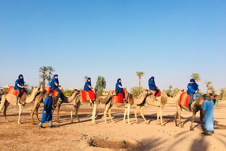 Small Group Full Day Trip To Ouzoud Waterfalls A day with the BerBers