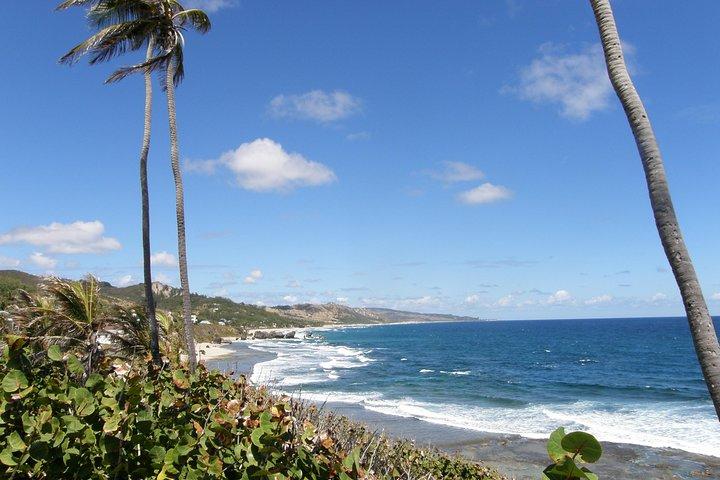 Barbados Shore Excursion Barbados Paradise Sightseeing Tour