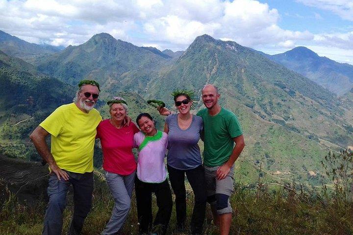 Dagstur: Sapa Trekking i Muong Hoa Valley, Bamboo Forest