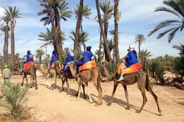 Marrakech Half-Day Camel Ride in Palm Grove