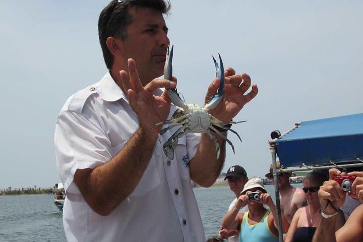 Excursion en bateau à Dalyan - Caunos, Turtle Beach comprend un bain de boue de Marmaris