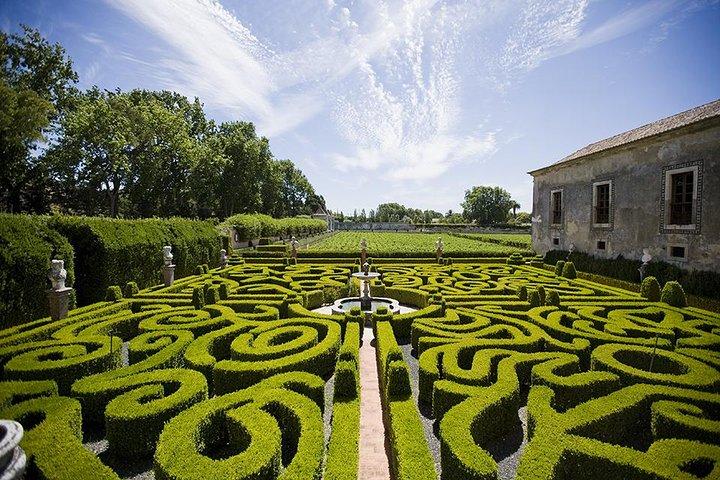 Arrábida Private Group Tour - 4 pax til 6 pax.