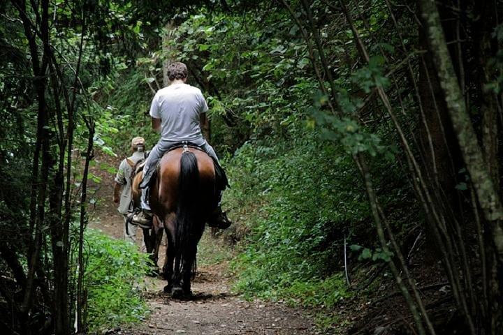 ルッカ近くの乗馬小グループ