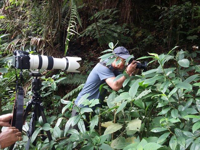 Sinharaja Rain Forest Un Jour