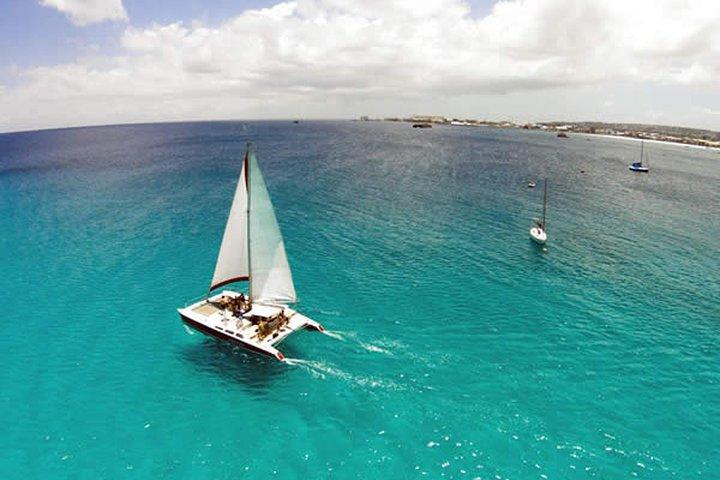 Barbados Catamaran Turtle Snorkel with Open Bar