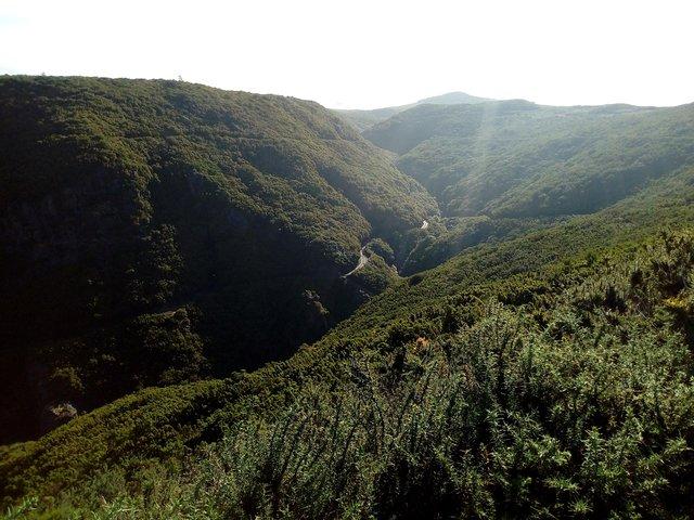 Privat overførsel til Levada do Alecrim - Rosemary Levada (let)