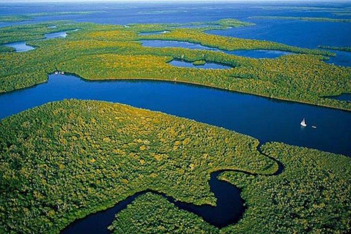 Privé 4 uur Everglades Tour met gedeelde Airboat