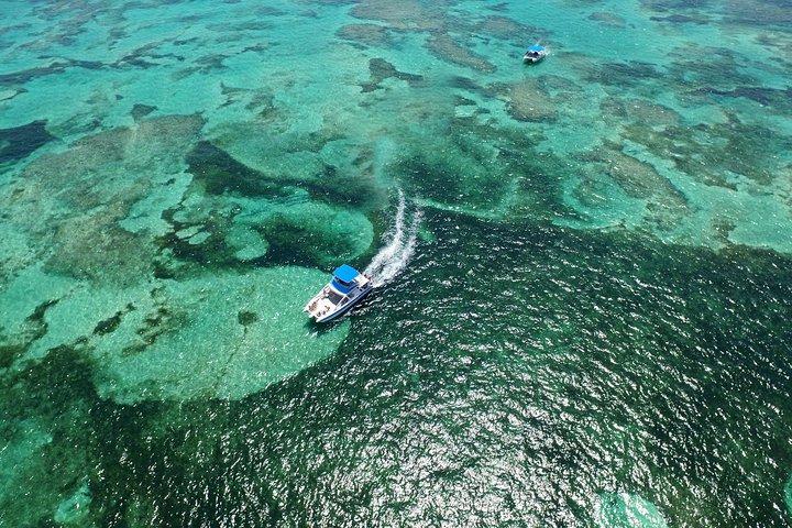 Visite de Punta Cana avec tuba réservée aux adultes et déjeuner Premium Seafood