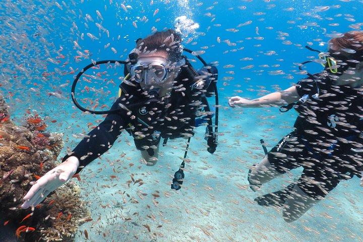 Introduktion Diving on Coral Reef med privat instruktør (25 min)