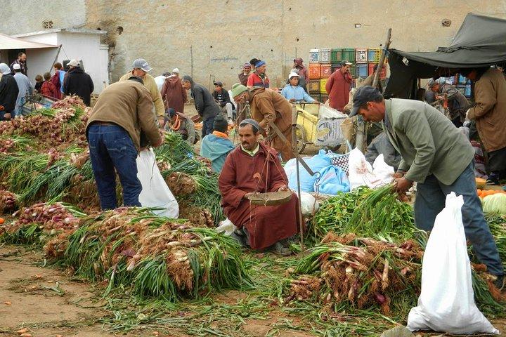 4 hours trekking in the Atlas mountains from Marrakech