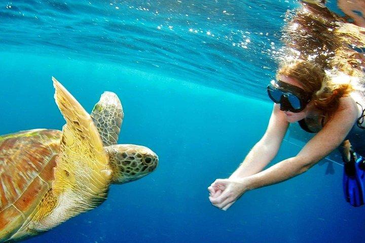 Surin Island Snorkeling en bateau rapide de Khao Lak