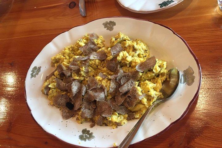 Guided Truffle Hunt Istria