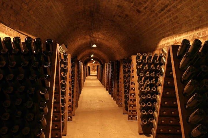 Paris: Champagne Day Trip with Tastings, Cathedral & Pickup