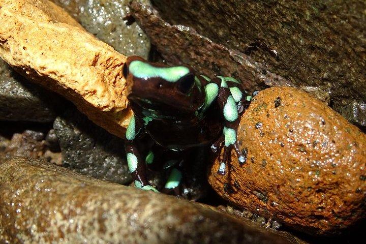 Bayano Canyoning fra Panama City