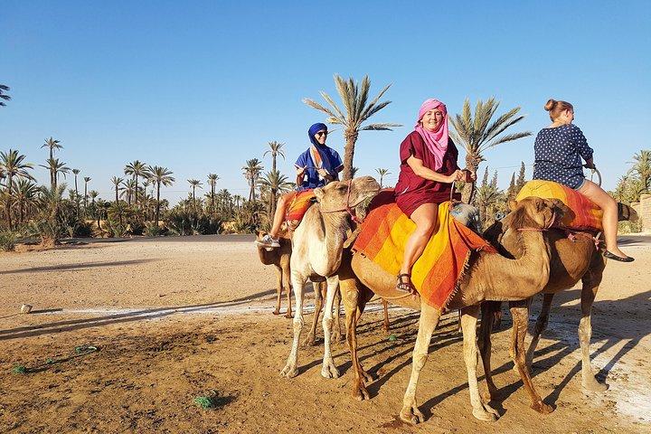Majorelle Garden, Berber Museum & Camel Ride Tour from Marrakech