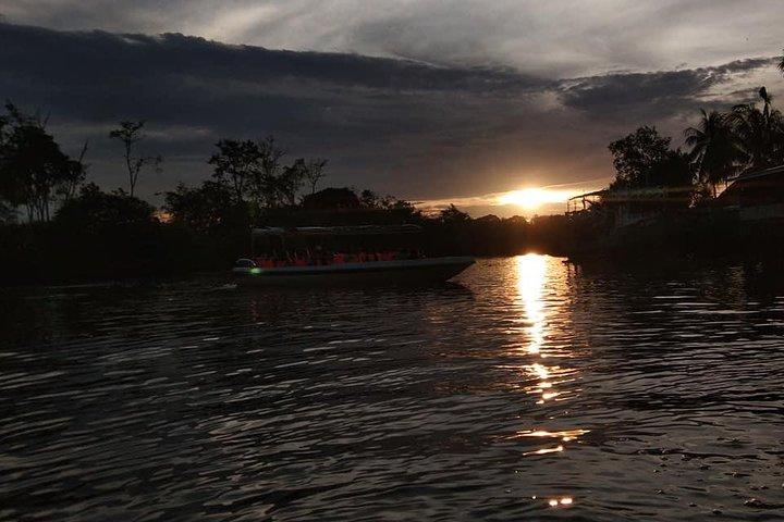 Klias Wildlife Safari River Cruise fra Kota Kinabalu