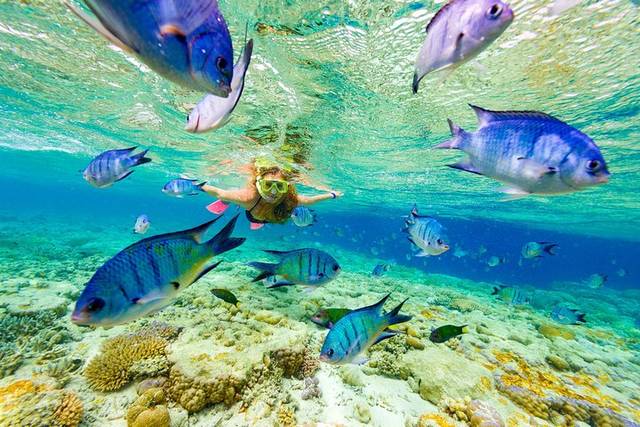 Cenotes