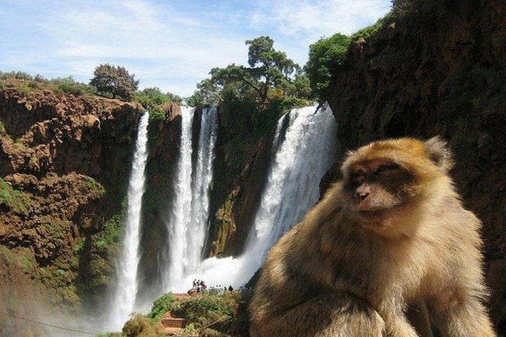 Day Excursion To Ouzoud Waterfall from Marrakech: Private