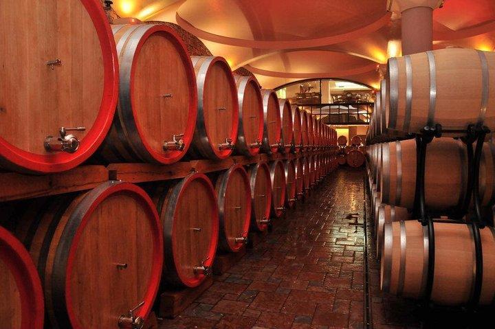 Privat vintur på Stobi Winery fra Skopje