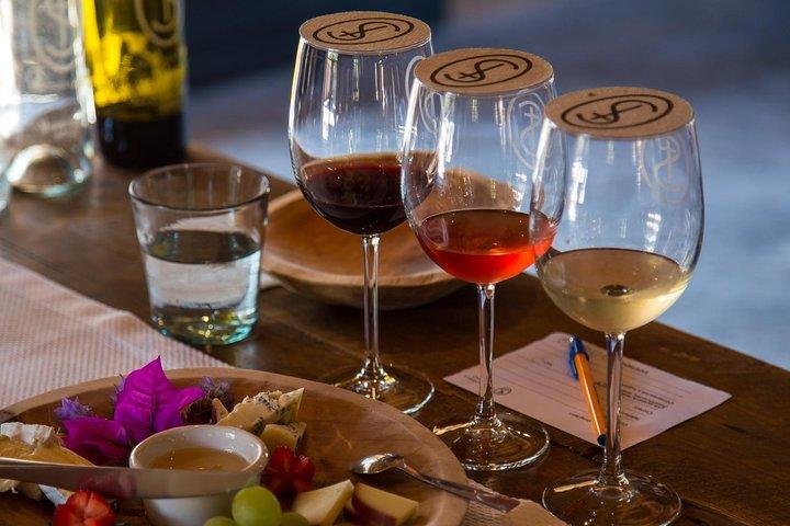 Weinberge, Weinprobe und Paarung in San Miguel