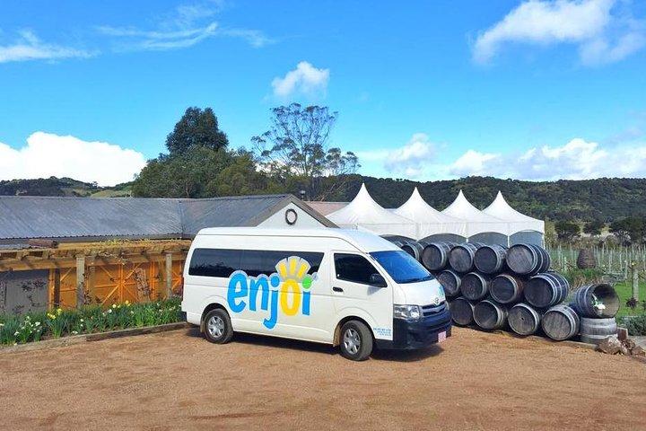 Waiheke Island Premium Weintour mit Verkostungen
