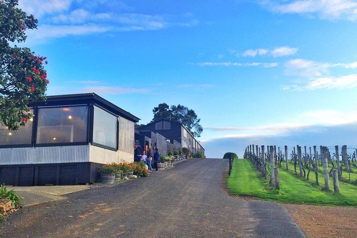 Waiheke Island Premium Weintour mit Verkostungen