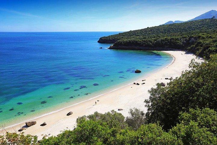 Arrabida Safari – Europas smukkeste strand og skjulte perler