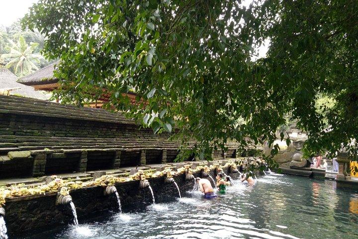 Bali Holy Bathing Ritual and Ubud Highlights tour
