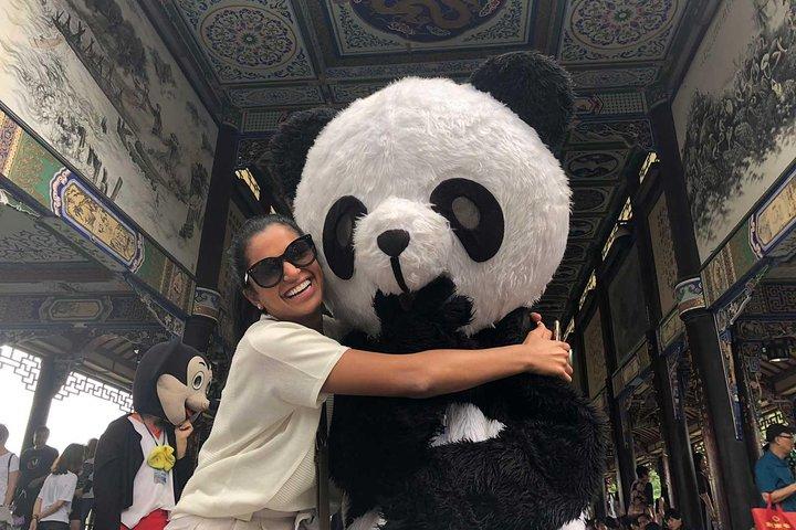 All-Inclusive Chengdu Highlight Panda Trip og tilpassede websteder