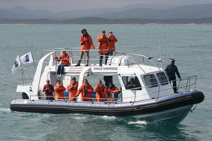 Marine Big 5 Safari full day trip from Cape Town