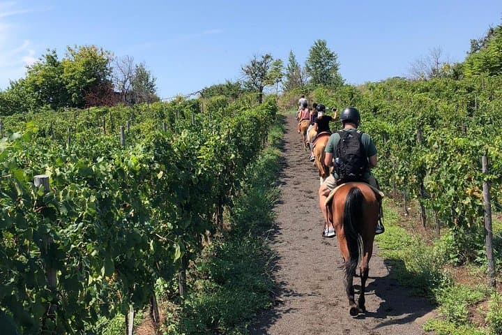 Scenic Horseback Ride, Wine Tasting & Lunch on Mt. Vesuvius