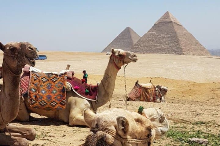 Tour to Giza pyramids Memphis Sakkara and Felucca on the Nile