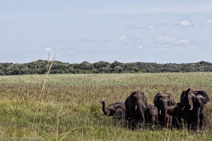 Maputo Special Reserve - 1 Day