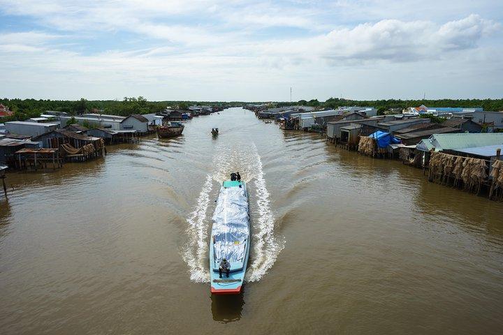 Excursão de 1 dia ao Delta do Mekong: Mercado Cai Be, Ilha Local e Ciclismo