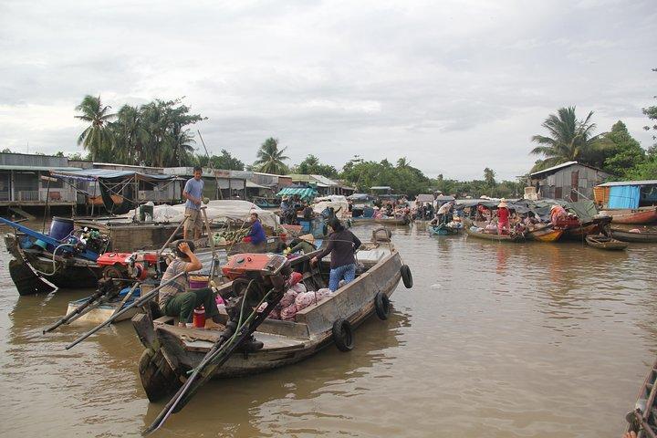 Excursão de 1 dia ao Delta do Mekong: Mercado Cai Be, Ilha Local e Ciclismo