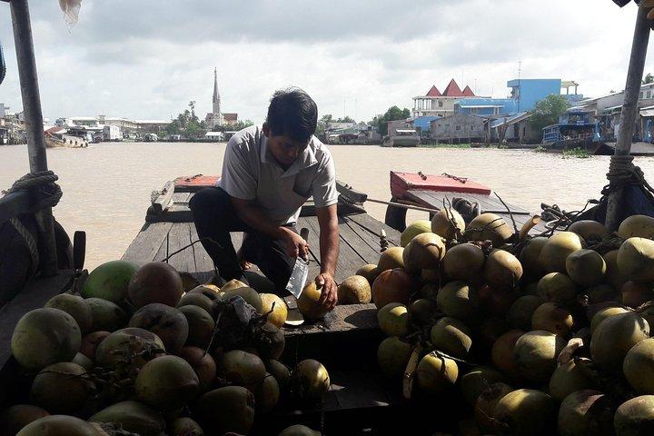Excursão de 1 dia ao Delta do Mekong: Mercado Cai Be, Ilha Local e Ciclismo