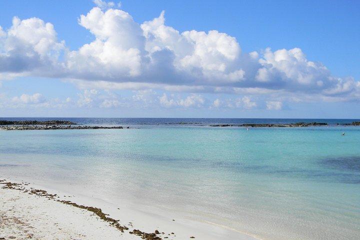 Visite guidée de plongée en apnée à Aruba Mangel Halto et Baby Beach