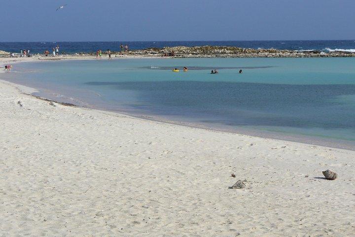 Visite guidée de plongée en apnée à Aruba Mangel Halto et Baby Beach
