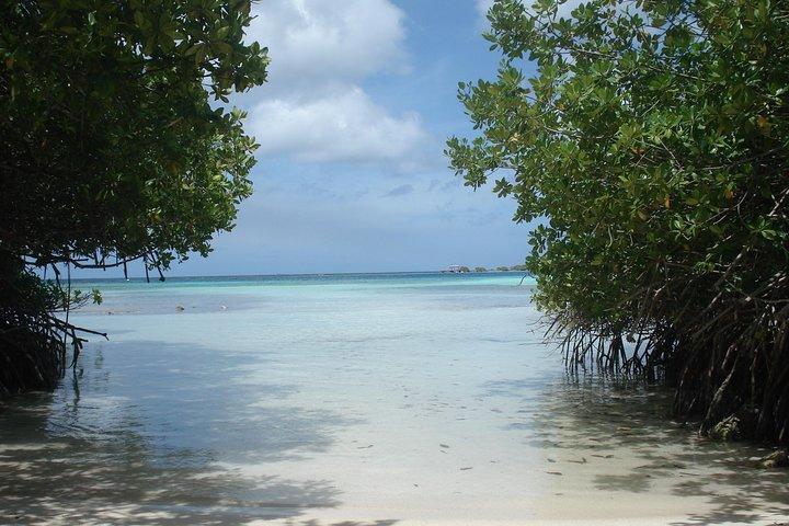 Visite guidée de plongée en apnée à Aruba Mangel Halto et Baby Beach