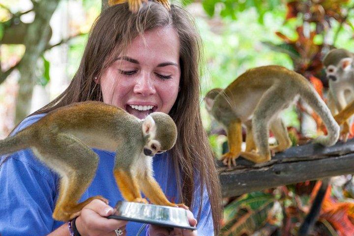 Monkeyland and Plantation Safari di La Romana