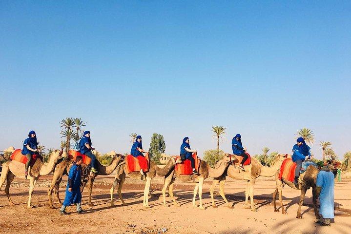 Camel Ride Marrakech